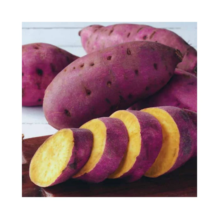 High-Quality Organic Sweet Potatoes - Fresh, Best Quality, Competitive Price, Export Ready, Wholesale, Ideal for Food