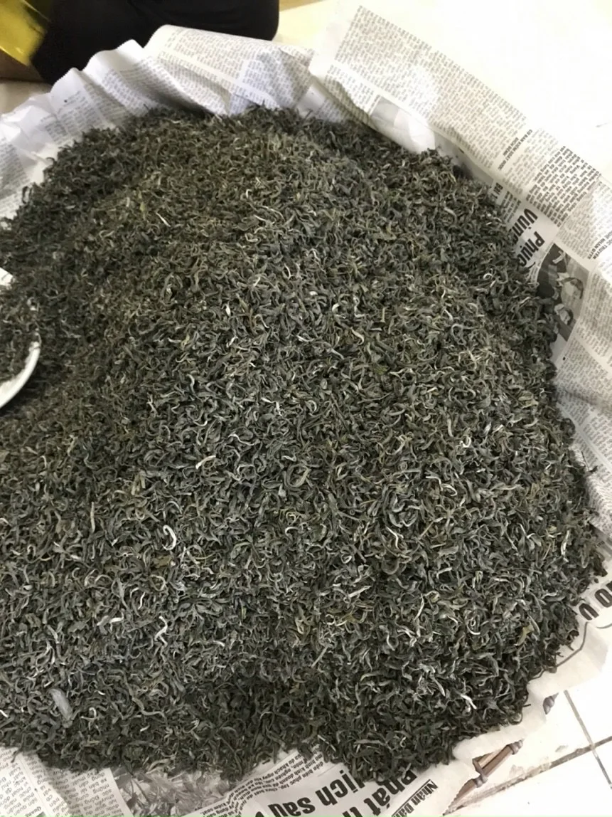 Storage Organic OEM/ODM Cheap Life Package Customize Good Price wholesale tea Black Tea Green Bee From Vietnam