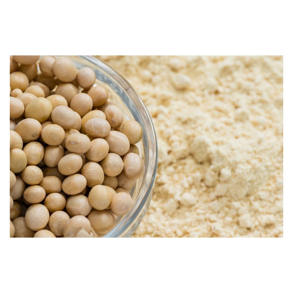 High Quality Price Defatted Maker High Protein Feed Buy Full Fat Sale Soybean Meal For Horses