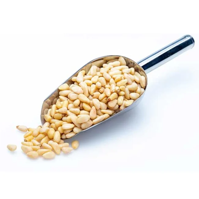 Pine nut - 6.png