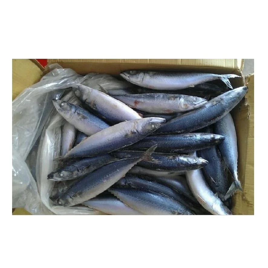Высококачественные морепродукты, цельная рыба, скумбрия, замороженная Тихоокеанская скумбрия, рыба HGT для продажи