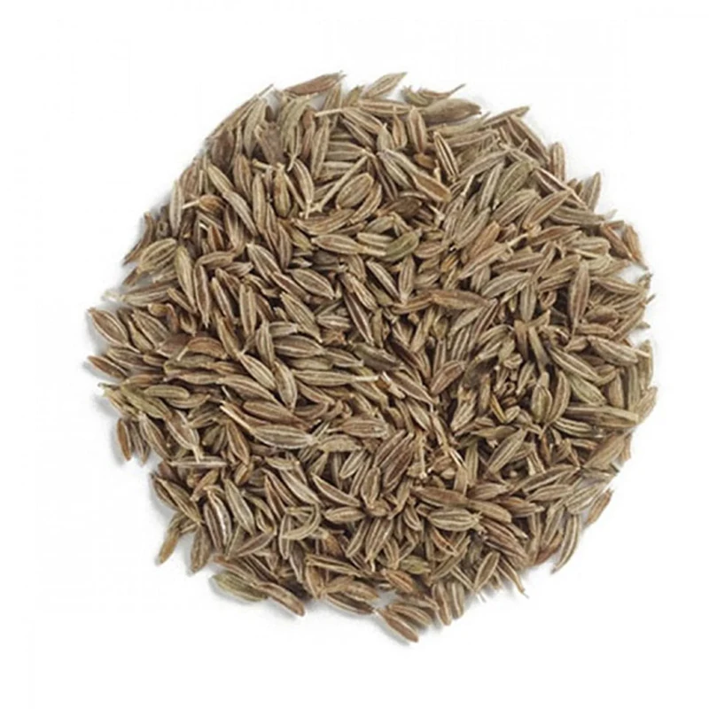 New Season Dried Cumin Seeds Jeera Natural Cumin Single Spices & Herbs from Indian Manufacturer