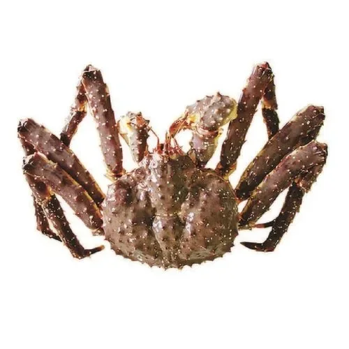 Superior Quality Factory Price Red King Crab Live and Frozen Red king crab