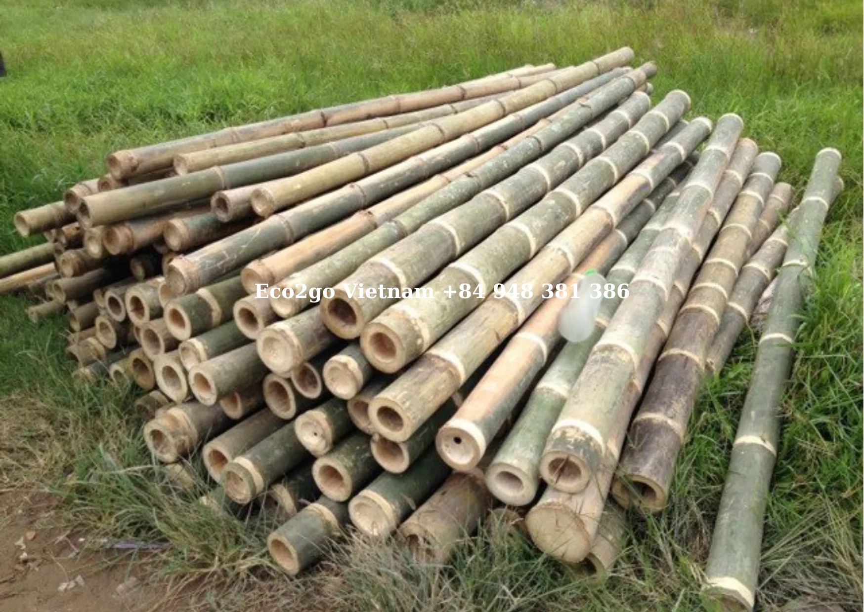 Best Seller Bamboo In Vietnam Bamboo Poles/ PVC Bamboo Poles/ Bamboo Poles Price With High Quality From Eco2go Vietnam