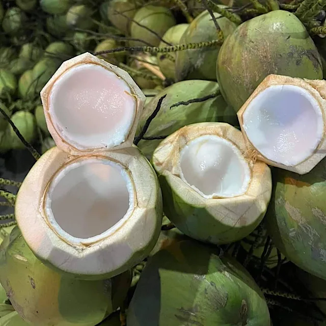 Top Selling  Fresh Coconuts From Thailand