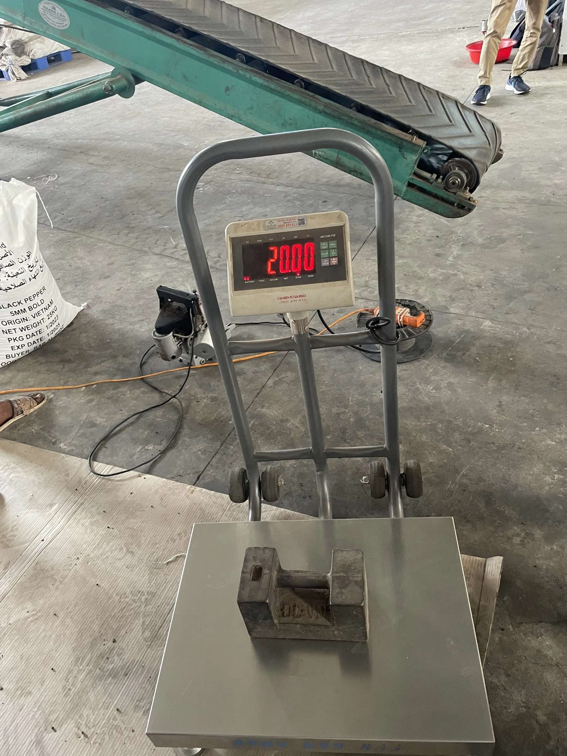 Wholesale Best Price Black Pepper With High Quality From Vietnam 100% Pure For Cooking Herbs And Ingredients