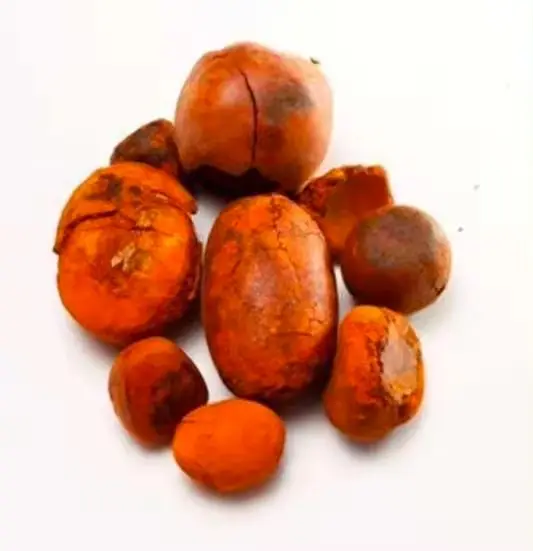 Cow Gall Stones / Ox Gallstones