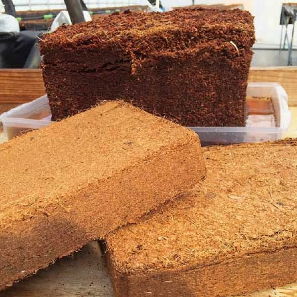 Block Direct Factory Cocopeat Coco Dust 100% Organic Coconut Product Cocopeat for sale