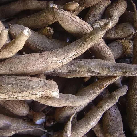 Лучшие сушеные чипсы из