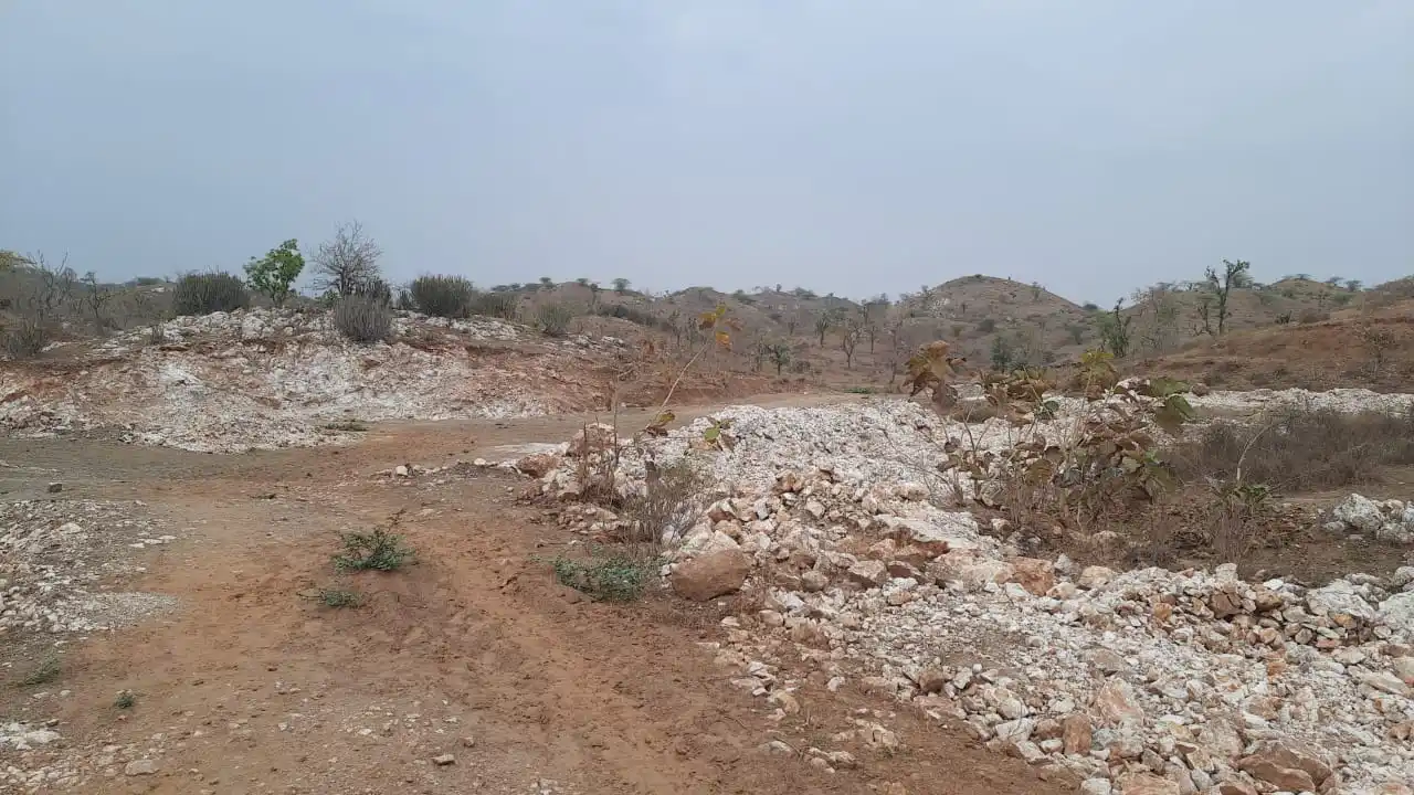 High Purity Quartz Powder