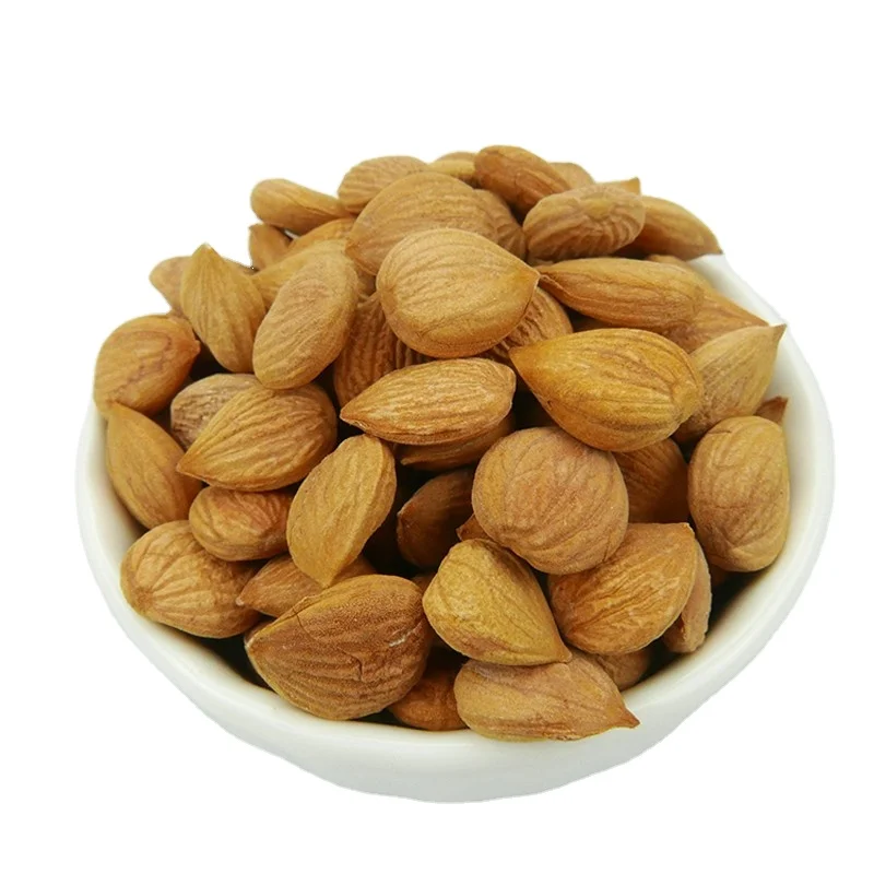 Top quality sweet bulk apricot kernel
