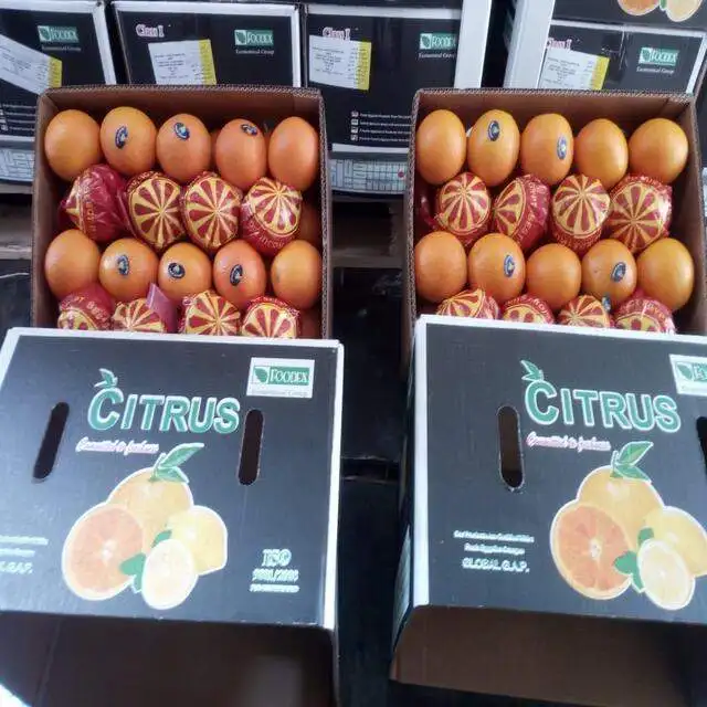 Sweet Delicious Navel Orange For Sale new corp