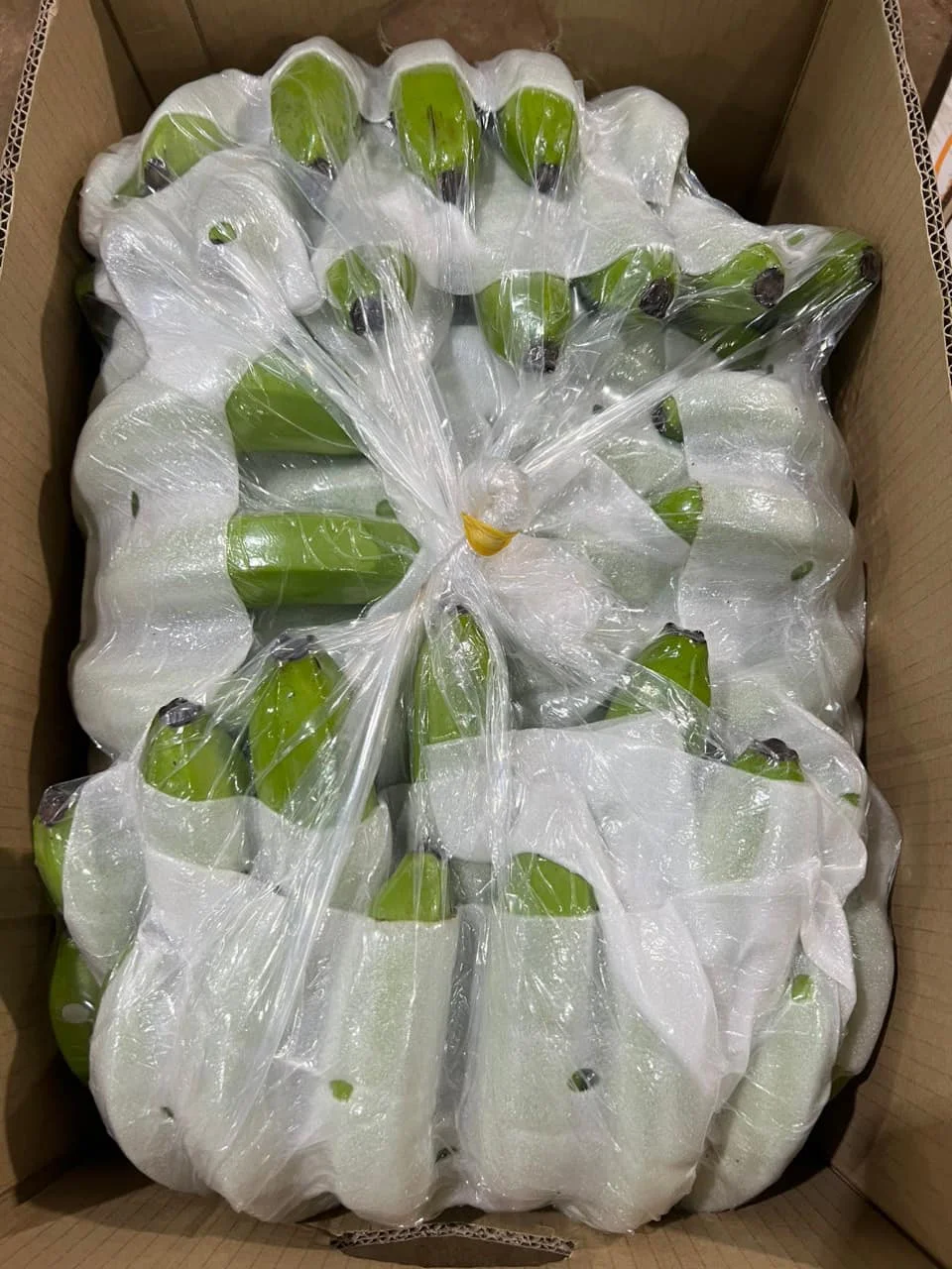 Organic Cultivation Type Green Cavendish Banana Sweet Taste Cavendish Banana From Vietnam Hot Sale New Coming