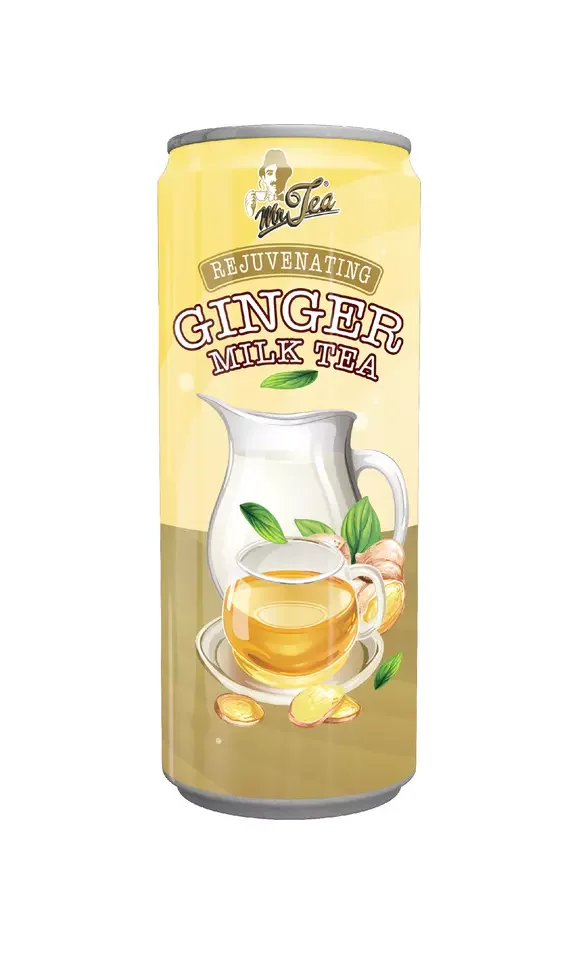 Ginger OEM Warm Body Bulk Can Blended Tea Drinks Energize Breakfast Instant MR TEA Milk Tea 240ml x 24c