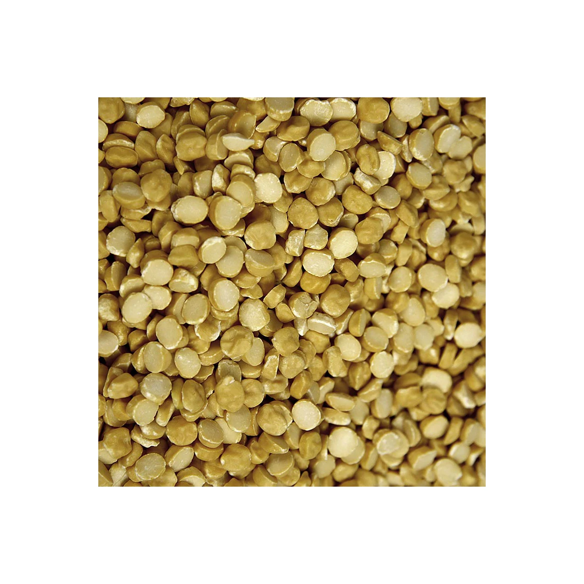 Non-GMO High Grade Nutritional Product Natural Bulk Split Dried Chick Pea from Uzbekistan Large Chickpeas for Food