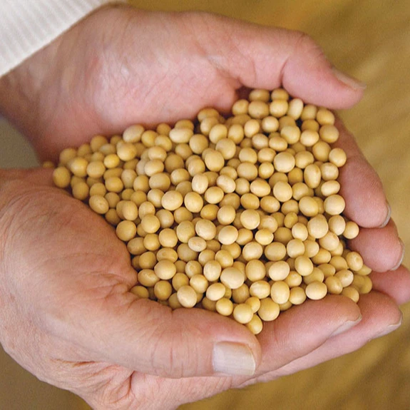 Соевые бобы из Бразилии готовы к поставке