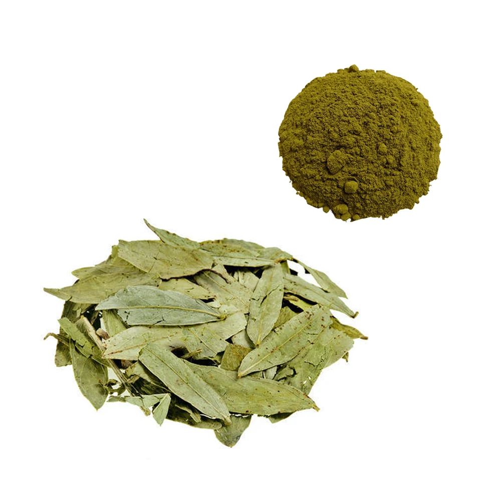 100% Natural Raw Herb Senna Leaf Powder Vacuum Packed For Good Preservation