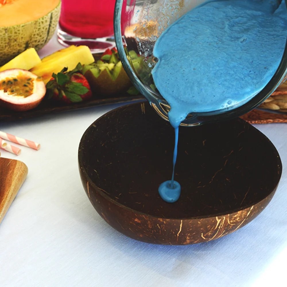 Coconut bowl shell special design wholesales customized package disposable dinnerware