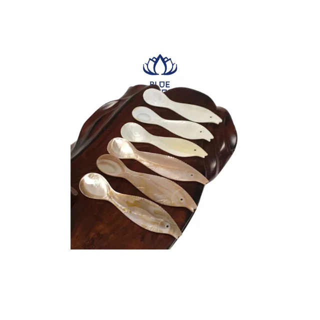 Conch Seashell Spoon Caviar for Export