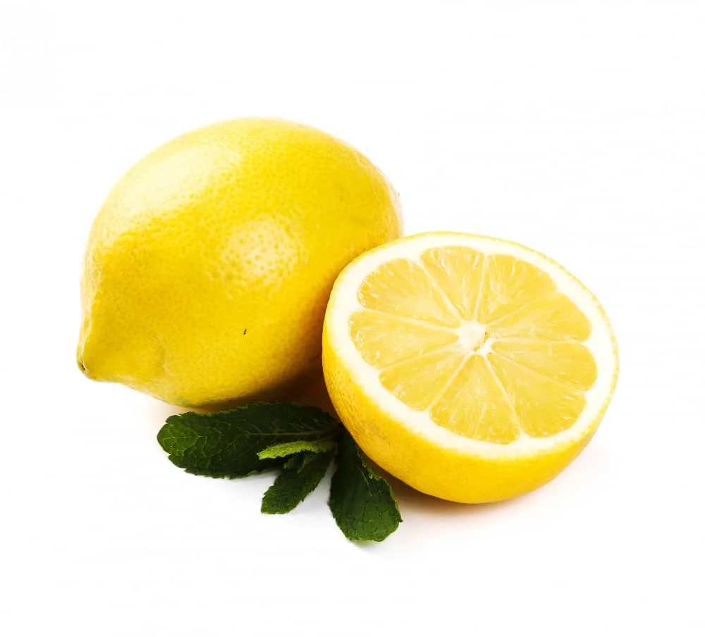 Fresh Lemon Fruits Top Sales Natural Citrus from Egypt Best quality wholesale Lemon Citrus Premium Quality Lemon for sale