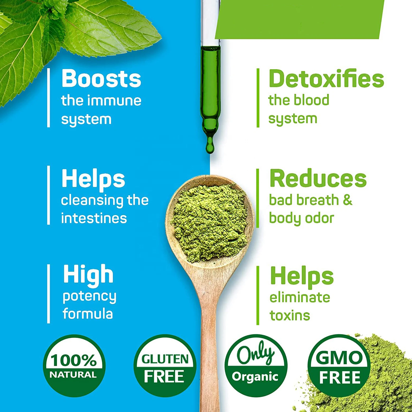 Hot Selling Custom Label Non-Gmo Gluten Free Vegetarian Organic Drop Mint Natural Flavor Liquid Chlorophyll For Adults