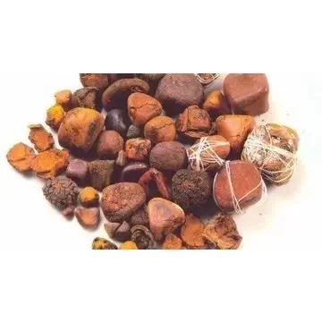 New Arrival Ox Gallstones,Cow Gallstones