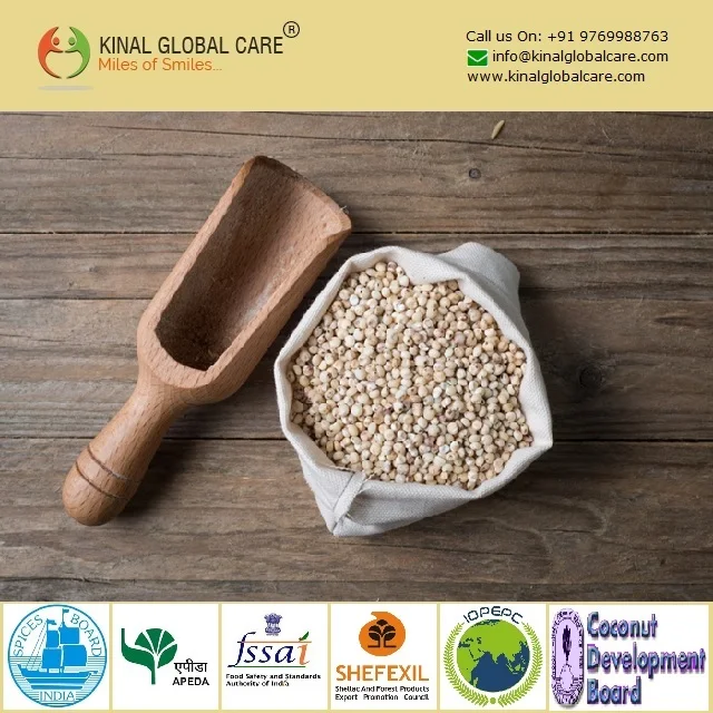 Sorghum White Milo Sorghum Grains Sorghum Price Per Ton for wholesale supply at Affordable Price