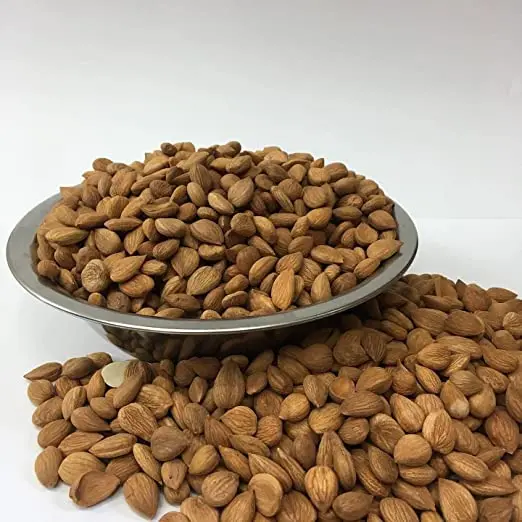 Quality Apricot Kernels/ Blanched Almond/ Almond Kernels