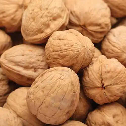 Whole Raw Dried Walnut Kernels for sale