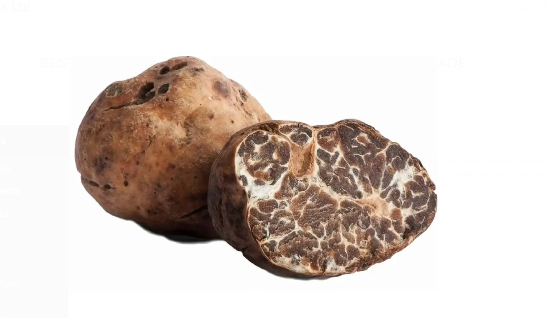 FRESH WHITE TRUFFLES TUBER ALBIDUM PICO - FIRST GRADE