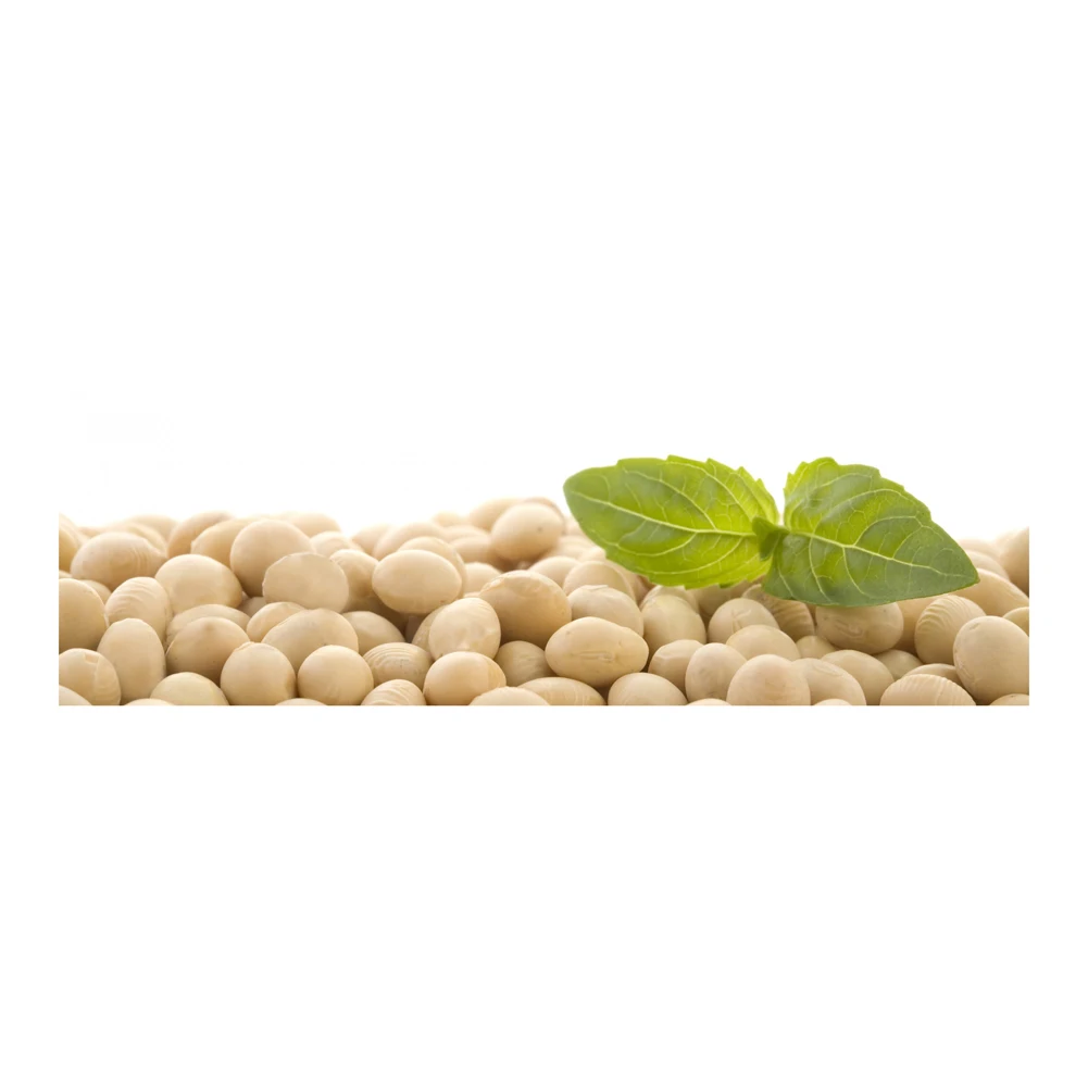 Soybean Suppliers Selling Non-GMO BLACK Soybeans non-GMO Black soya beans soybean