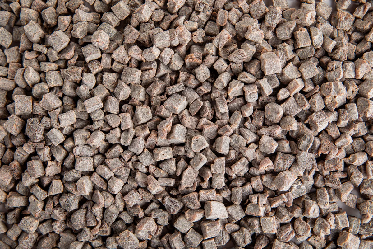 Organic dried apricot