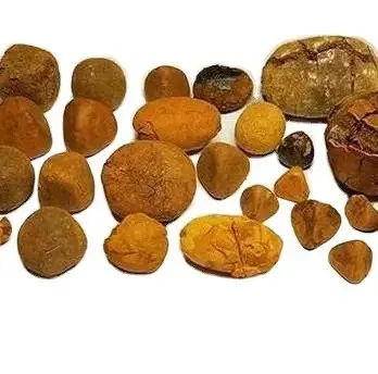 Whole Red Antlers Horse Deer Black Venom Bee Hair Ox Gallstones