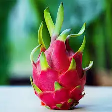 Red And White Dragon Fruit Vietnam Fruits High Quality Red Or White Color 100% Natural Sweet Wholesale Price