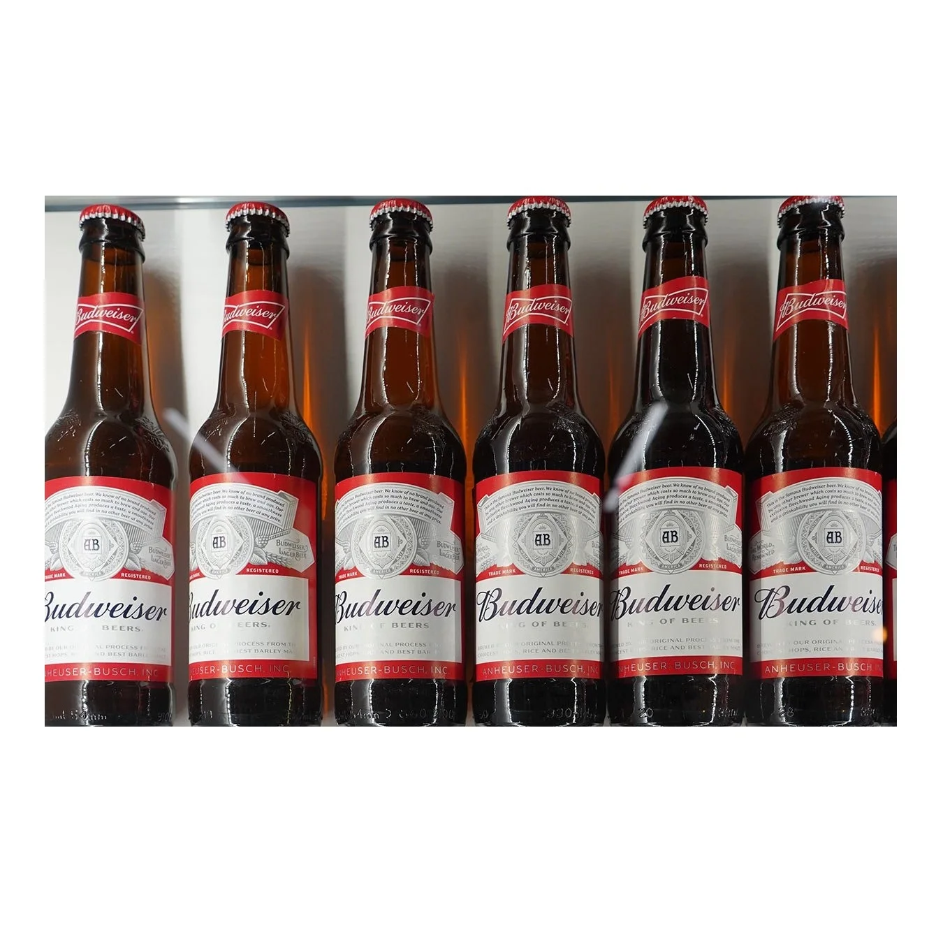 100% чистое качественное пиво Budweiser 33cl /330 мл в банках/бутылках по лучшей дешевой оптовой цене