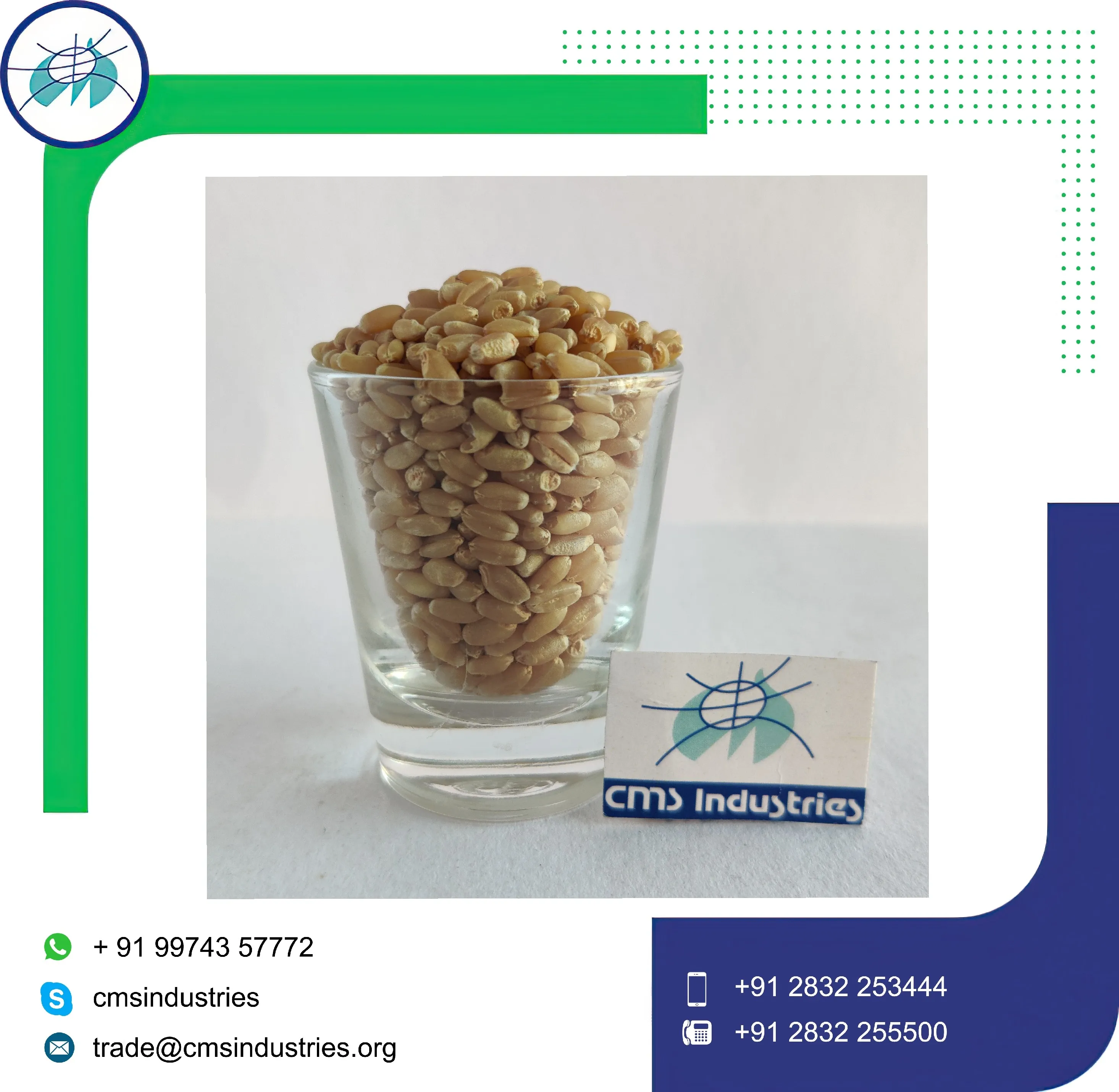 Good Supplier Lower Price Milling Wheat