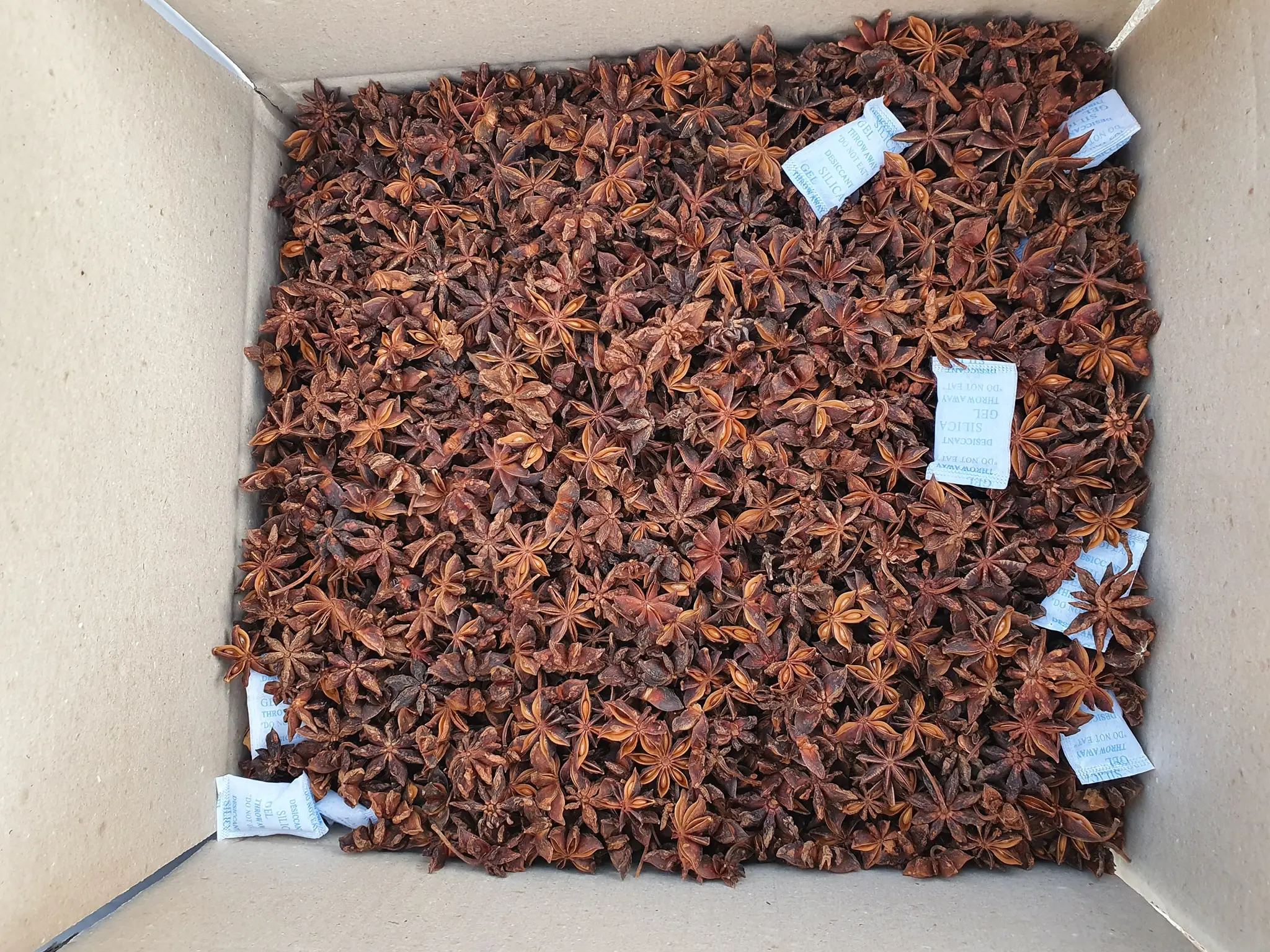 Fully certified premium autumn star anise whole with the best price and high quality from Vietnam origin