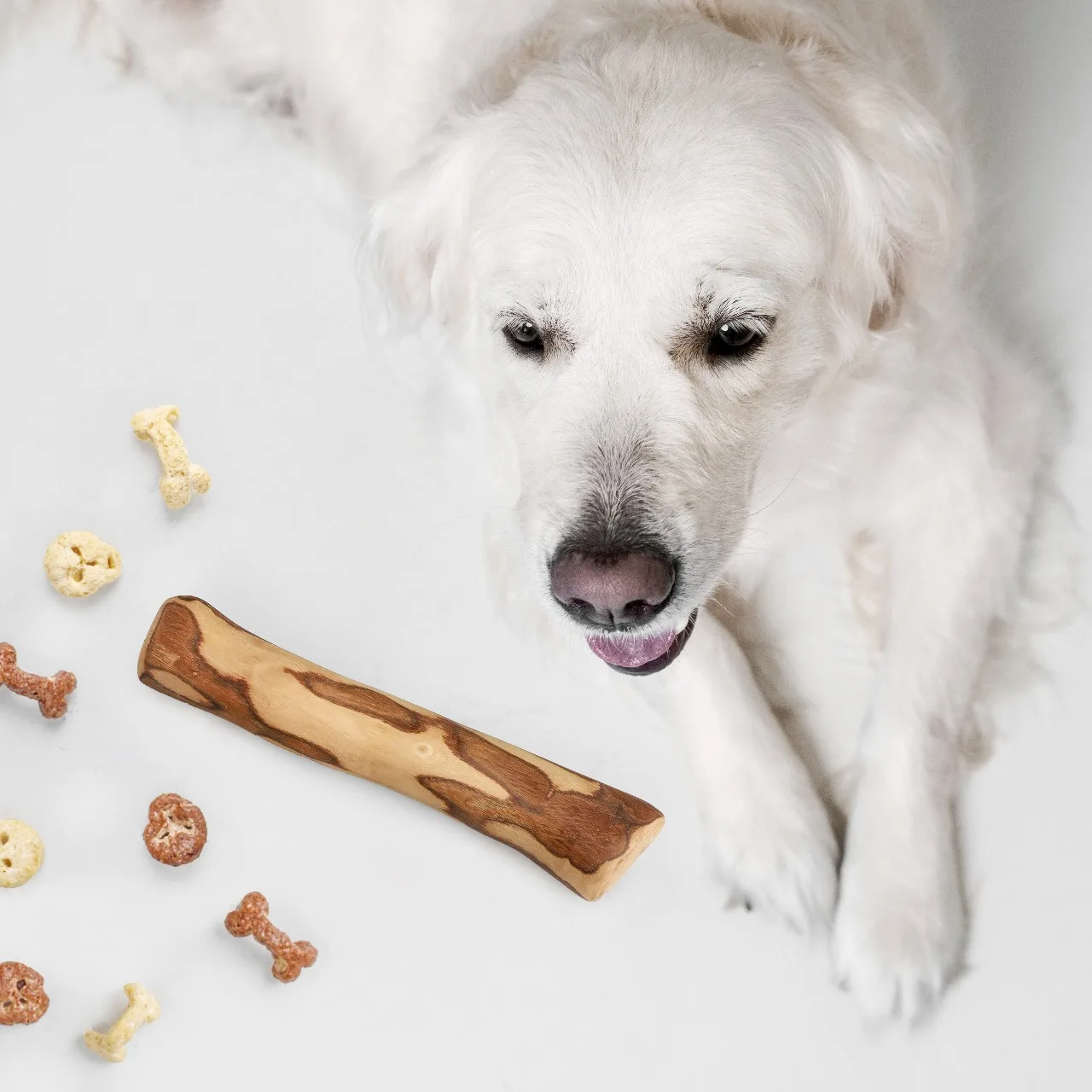 Wholesale Wooden Chewing Bones for Dogs - Dog Chew Bone Toy handmade from Olive Wood - Pet Toys Wood