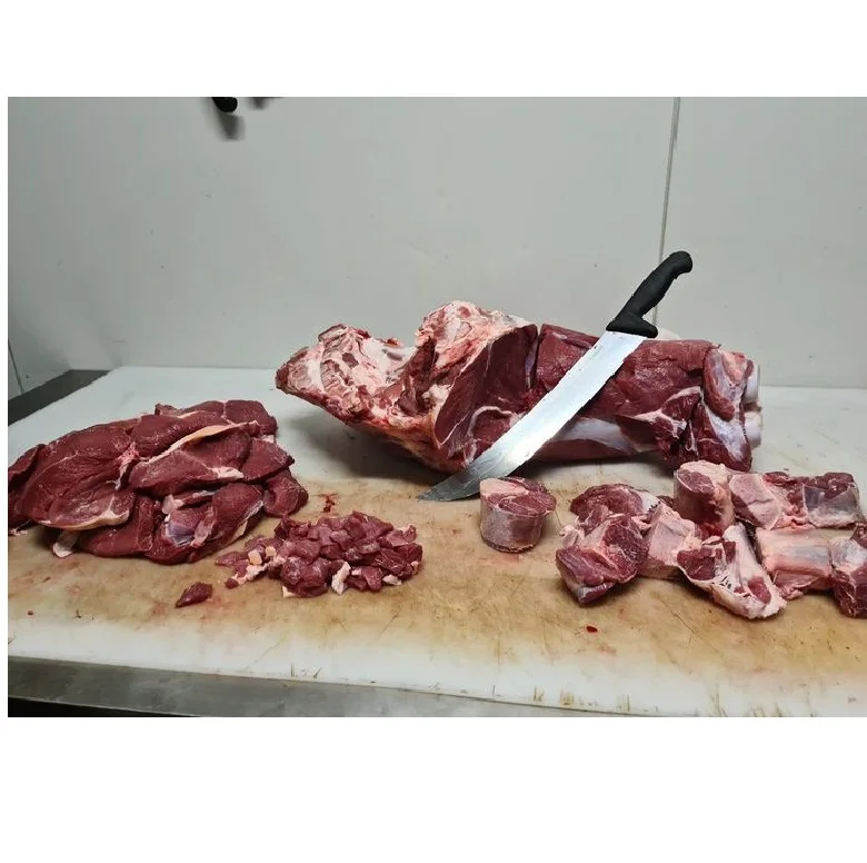 Halal Camel Fresh Chilled Meat Fresh/chilled Fresh Halal Camel chilled Meat