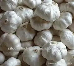 FRESH GARLIC BULB PURE WHITE BEST QUALITY & CHEAP PRICE FOR SALE