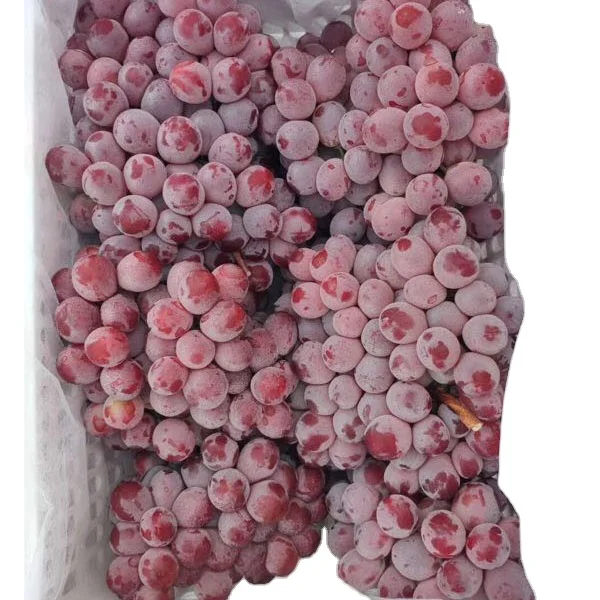 Premium Quality 2023 New Stock Fresh Grapes For Export from Thailand