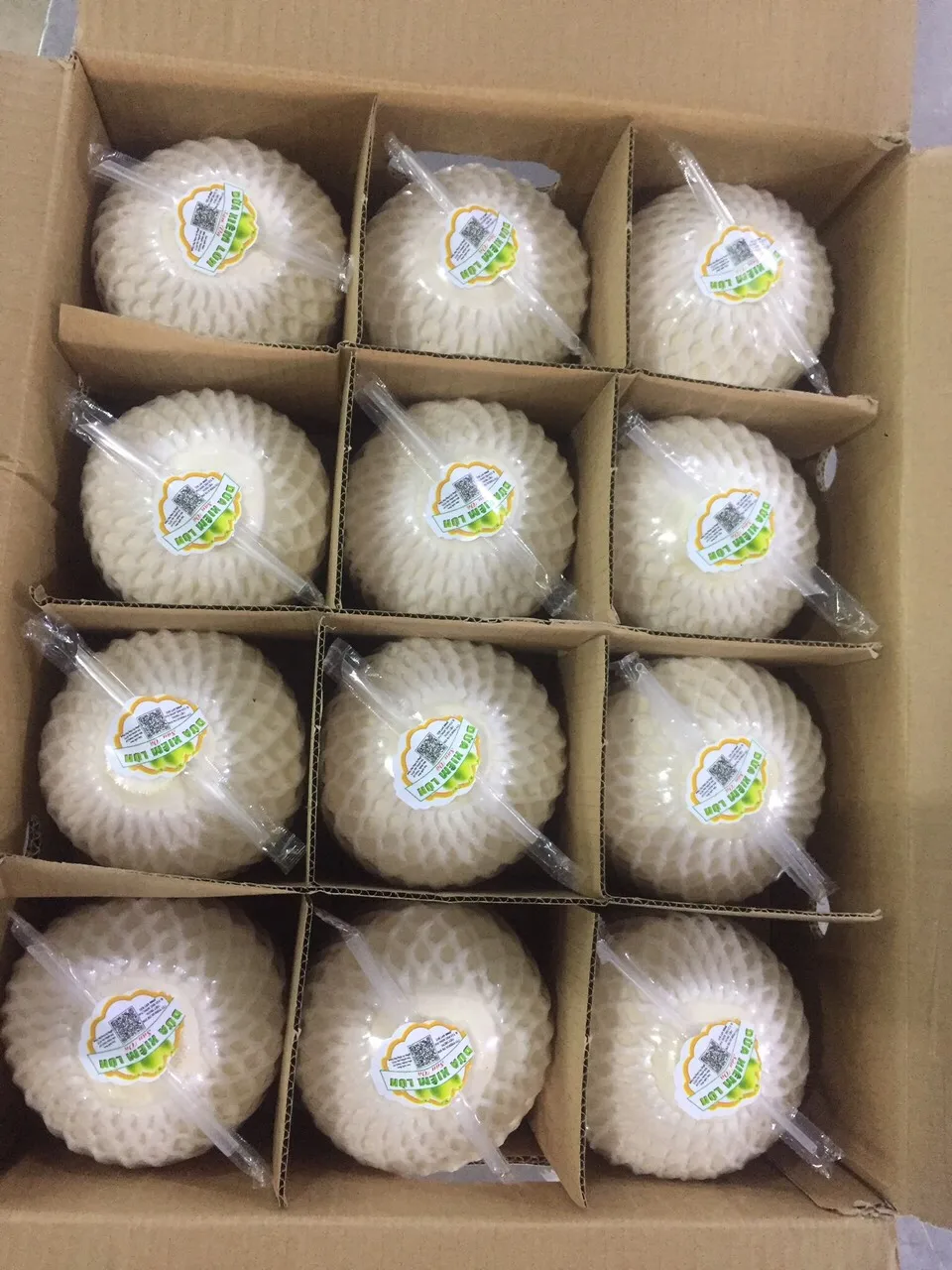 High Quality Vietnamese Fresh Coconut 100% Natural The Best Price In The Market