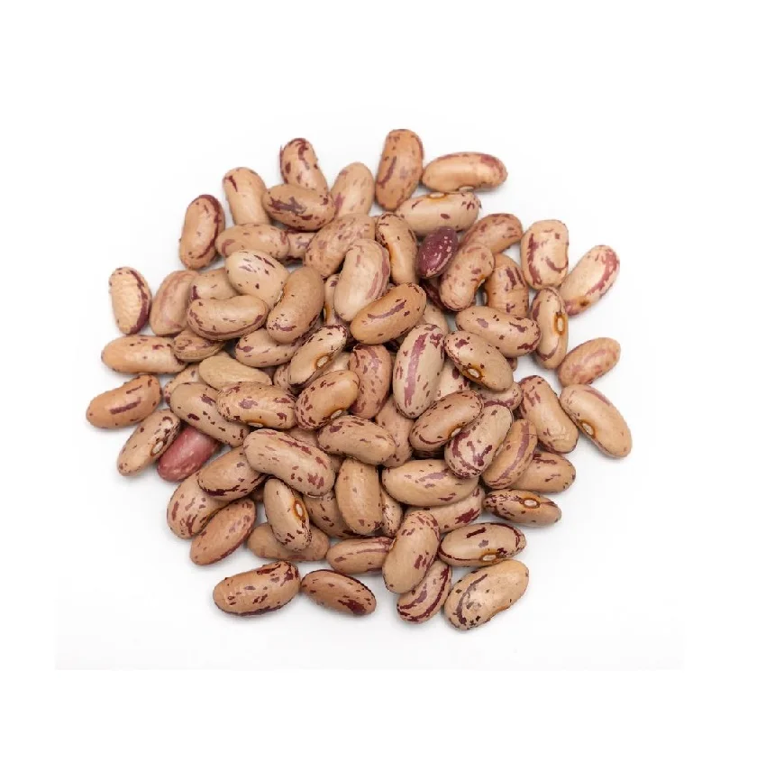 Wholesale Natural Dried Pinto Bean Purple Speckled Kidney Beans