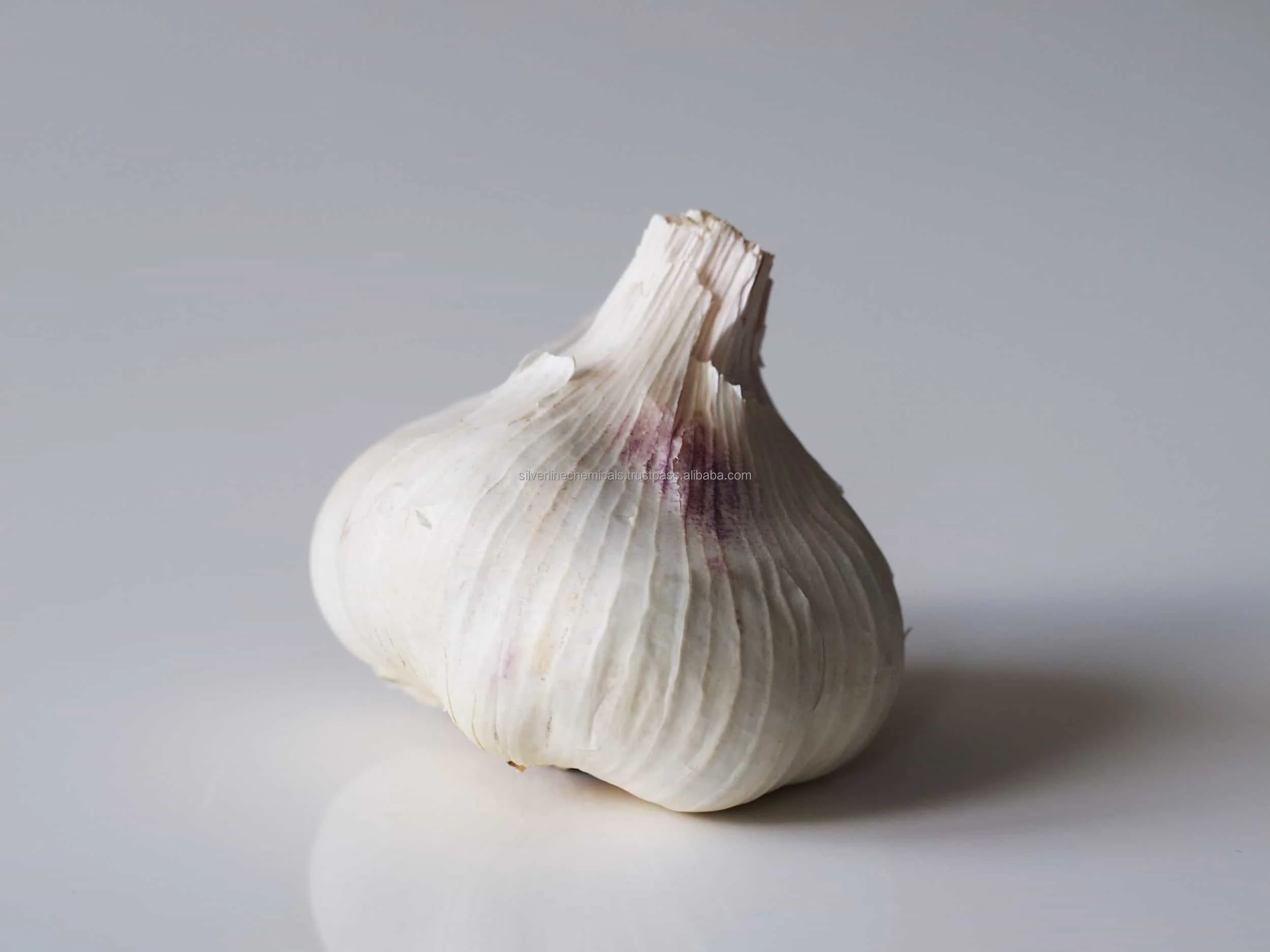 Wholesale Best Quality Essential Oil Garlic Oil Manufacturer