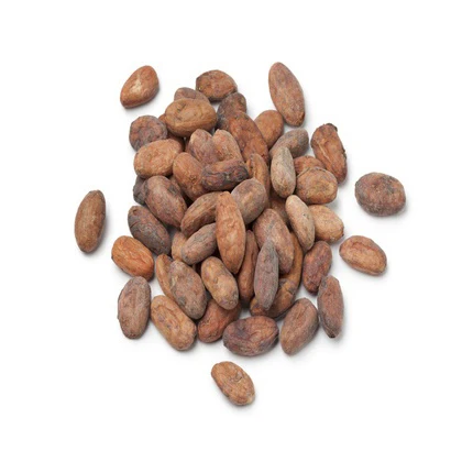 High Quality Cocoa Beans Dried Roasted Cacao Beans Chocolate Beans Natural Premium Made in France