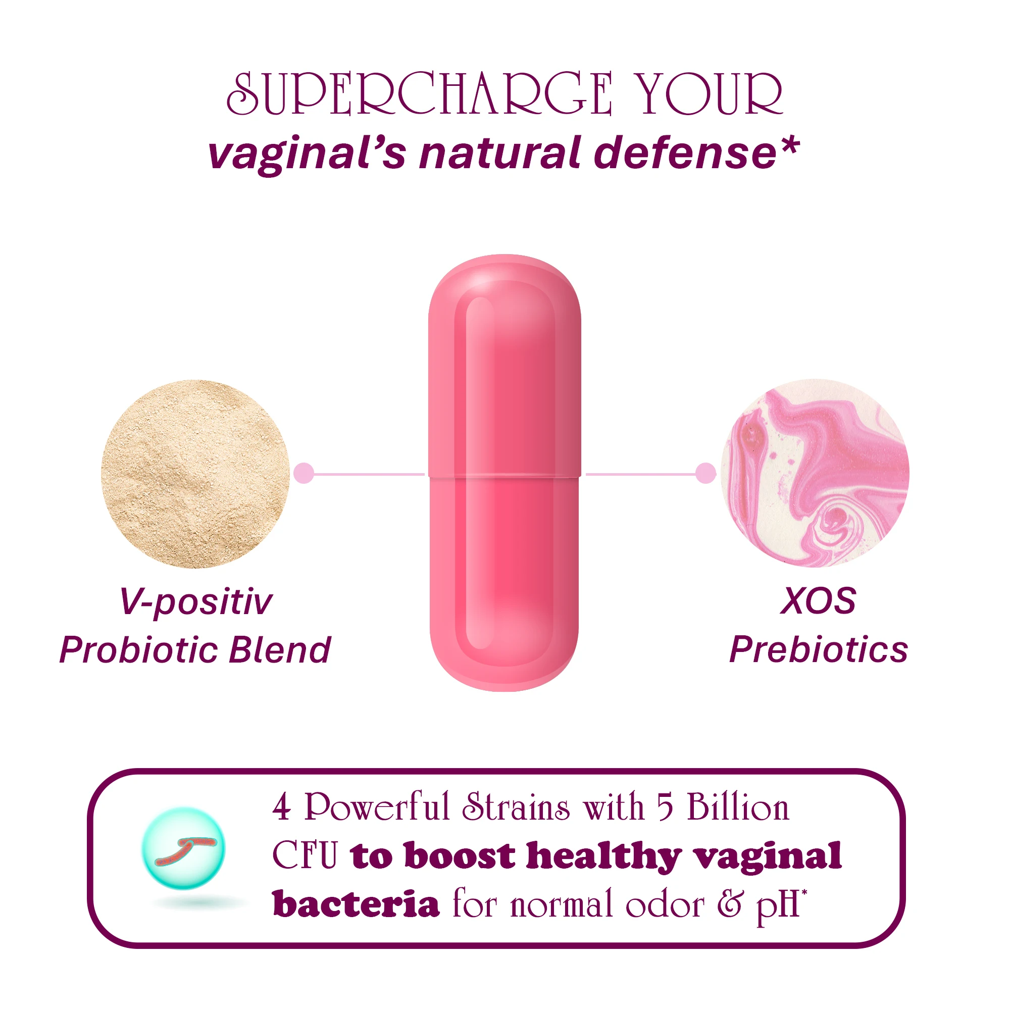 Wholesale Top-Selling Private Label Probiotics Supplement 60 CFU Prebiotics Vaginal Health for Teenagers Bulk Buyers