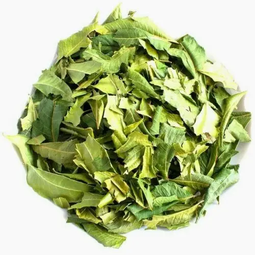 Neem Leaves Powder Azardiractha Indica Huile De Neem Indian Lilac Margosa Tree Margousier Nim Leaf