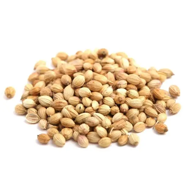 Whole Coriander Food Grade Manufacturers Wholesalers Good Quality Low Price Coriander Seeds Export Quality
