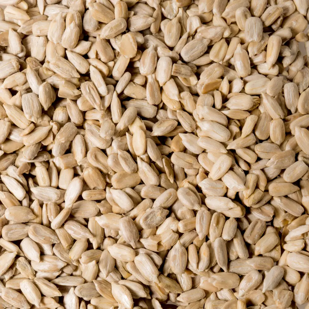 Best Quality Custom Made Wholesale Factory Price Sunflower Kernels organic Confectionery Grade sunflower seeds 15kg bags.