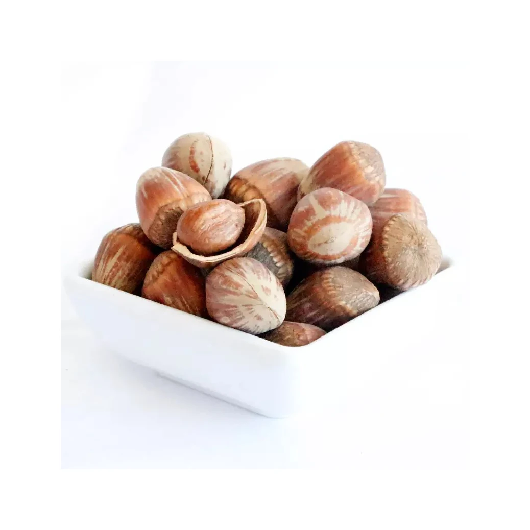 Cheap Price Wholesale Hazelnuts For Sale In bulk Wholesale Hazelnuts For Sale In Cheap Price Bulk Quantity Available